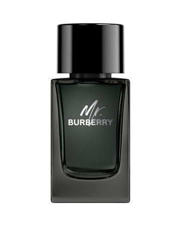 Burberry Mr Burberry Edp 100Ml